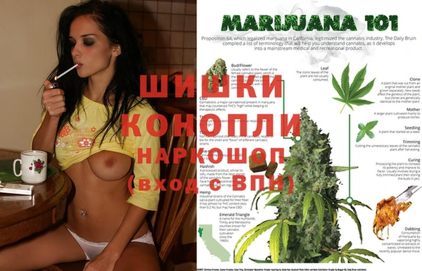 spice Аркадак
