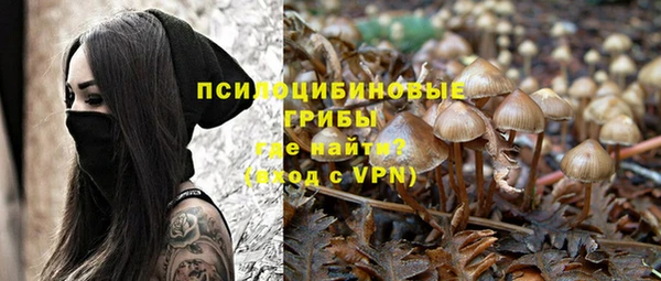 крисы Арсеньев