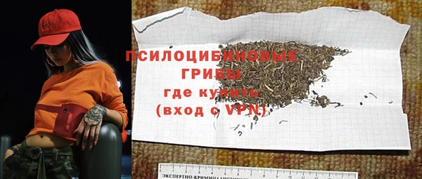 крисы Арсеньев