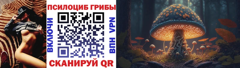 omg ТОР  Снежинск  Псилоцибиновые грибы Magic Shrooms  купить  сайты 